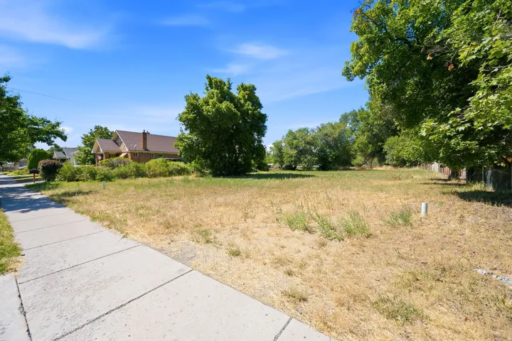 Expansive lot with mature perimeter trees and established sidewalk access