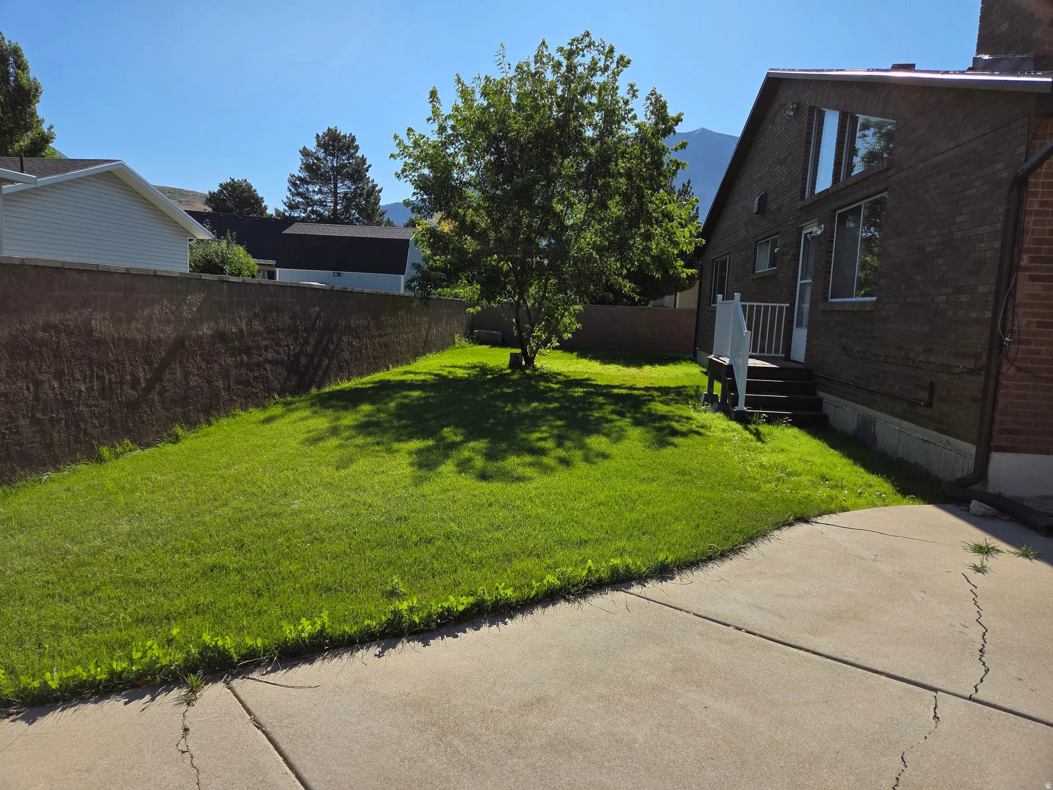 Expansive lawn area with a mature tree