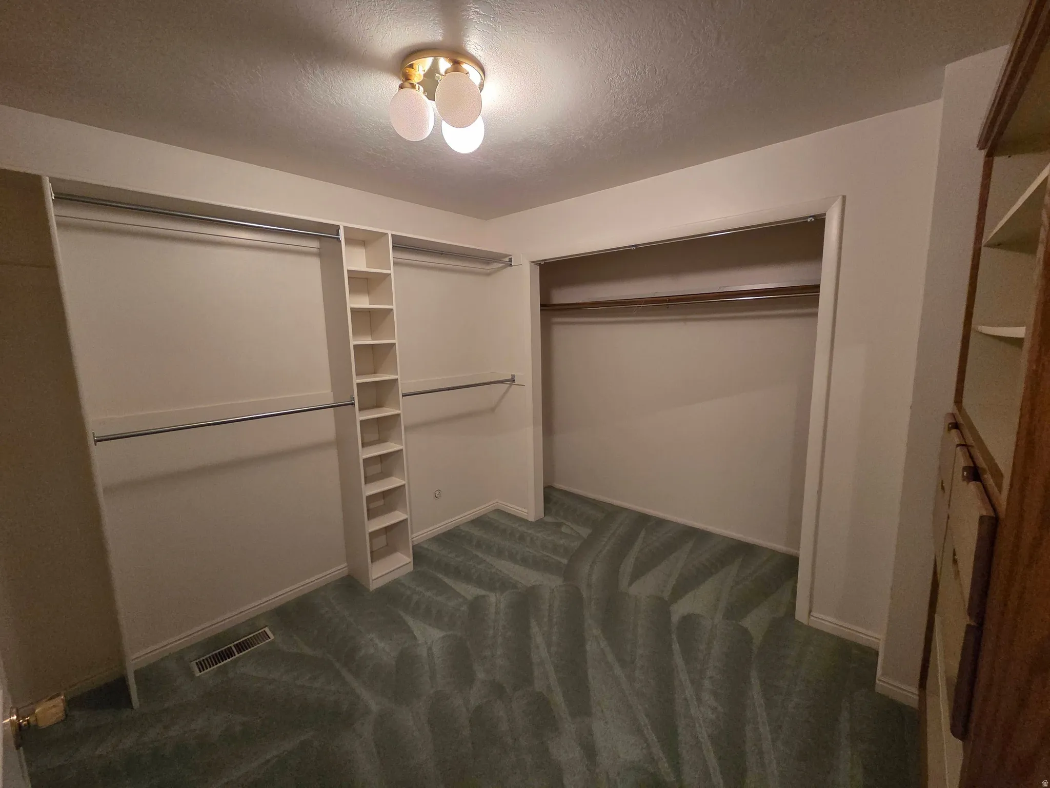 Recessed lighting fixture, built-in shelving unit, multiple clothing rods, and wall-to-wall carpeting