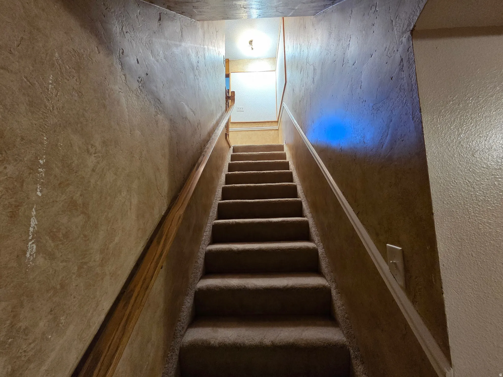 Carpeted staircase with a wood handrail and textured wall finish