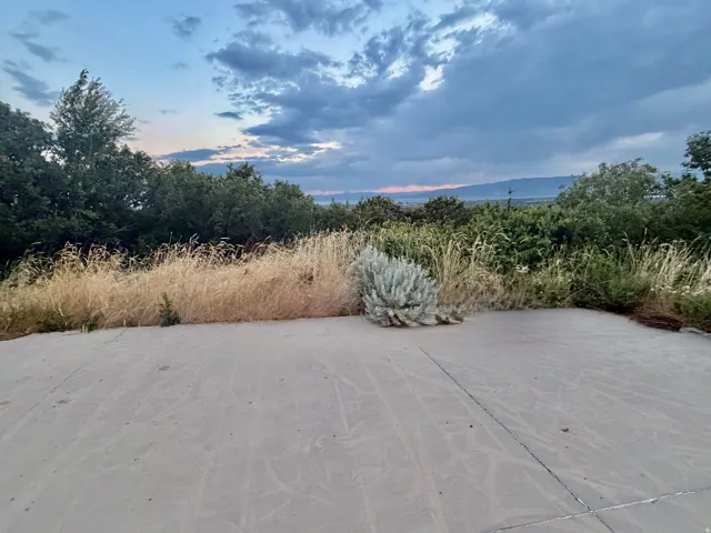 Concrete pad with surrounding natural vegetation