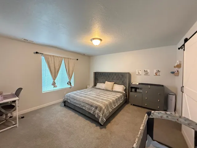 Plush carpet flooring, neutral paint palette, window with blinds, ceiling-mounted light fixture, and a barn door entry