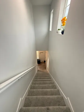 Carpeted staircase with white trim, a white handrail, and wall-mounted windows