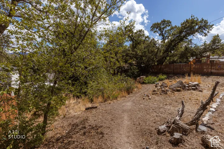 Expansive outdoor area featuring mature trees, a wooden privacy fence, and natural ground cover