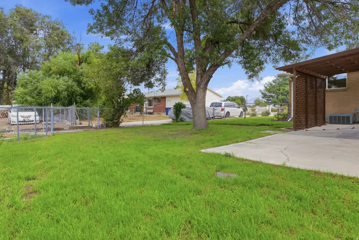 Manicured lawn, mature shade tree, concrete patio, privacy lattice, and chain-link fencing