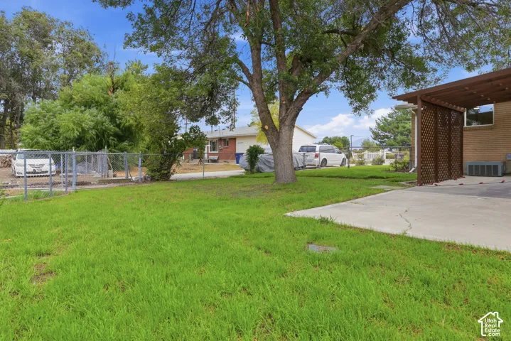 Manicured lawn, mature shade tree, concrete patio, privacy lattice, and chain-link fencing