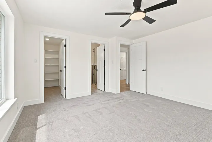 Plush gray carpeting with white walls, a built-in closet with shelving, a contemporary ceiling fan, and white doors with black hardware