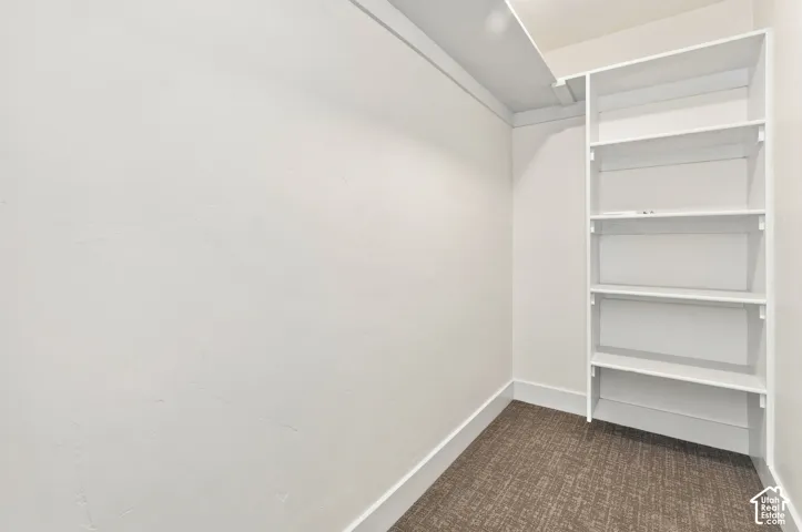 Built-in shelving unit providing storage, neutral wall finishes, and patterned carpeting