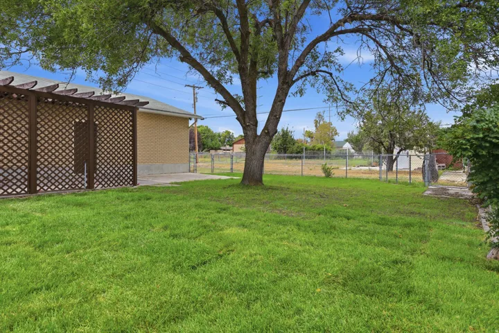 Expansive lawn with mature shade tree, chain link fencing, concrete patio area, and a lattice privacy screen structure