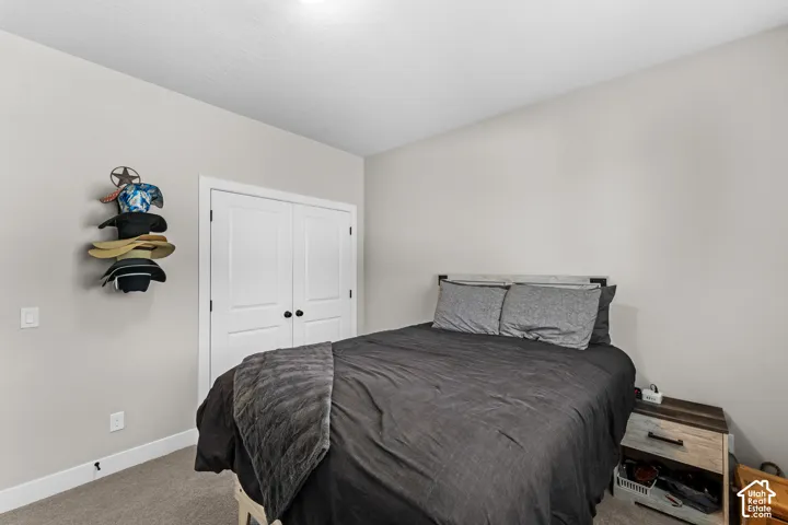 Neutral wall color, double closet doors with black hardware, carpeted flooring, and a ceiling-mounted light fixture