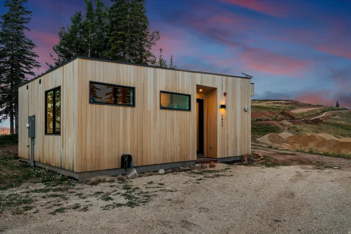 Modern exterior with natural wood siding, dark-framed windows, and a contemporary entryway light fixture