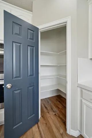 Pantry featuring extensive built-in shelving, wood-finish flooring, and a paneled door