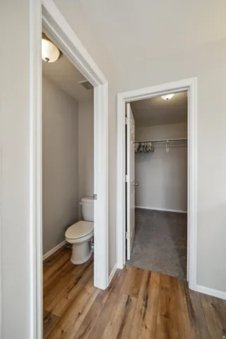 Wood-finish flooring, neutral wall tones, white trim, recessed lighting, and a closet with carpet