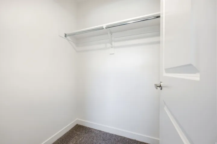 White interior walls with a white built-in shelf and hanging rod, complemented by a white paneled door with a silver handle, and carpet flooring