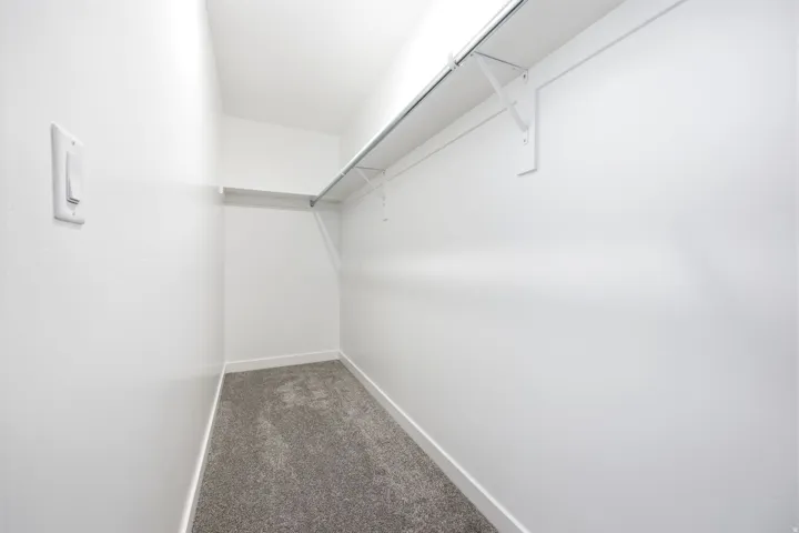 Walk-in closet with carpet flooring, a wall-mounted light switch, and built-in shelving and hanging rod