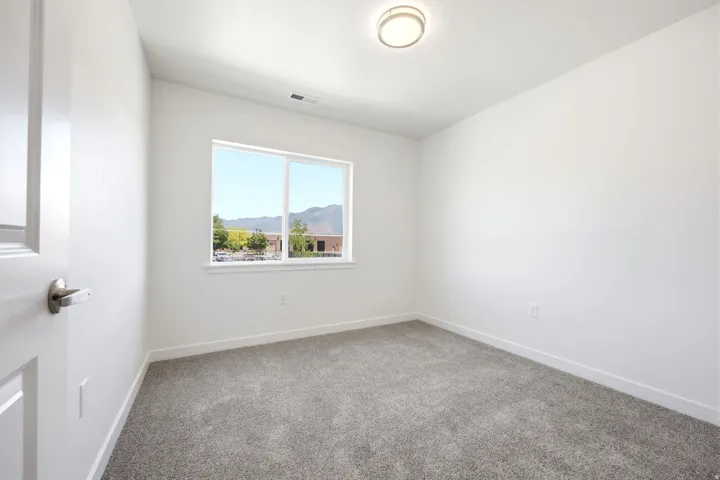 White interior walls, gray carpet, flush-mount ceiling light, white trim, and a double-pane window