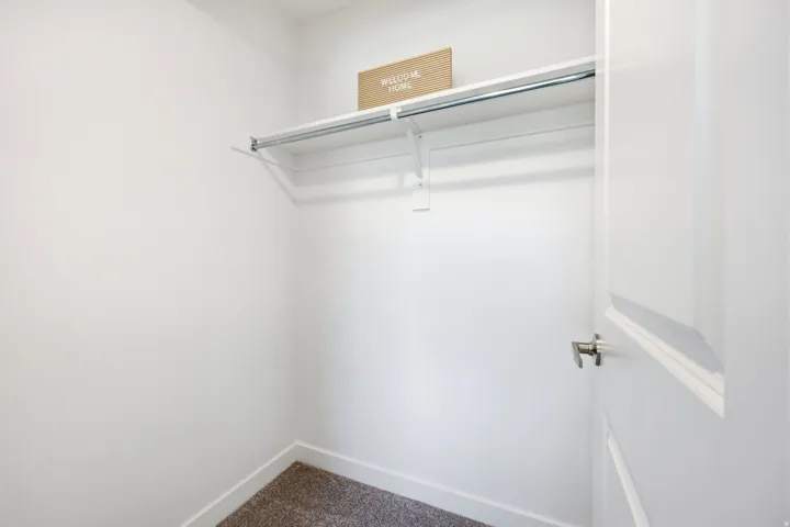 Closet featuring white walls, a single shelf, a metal hanging rod, and carpet flooring