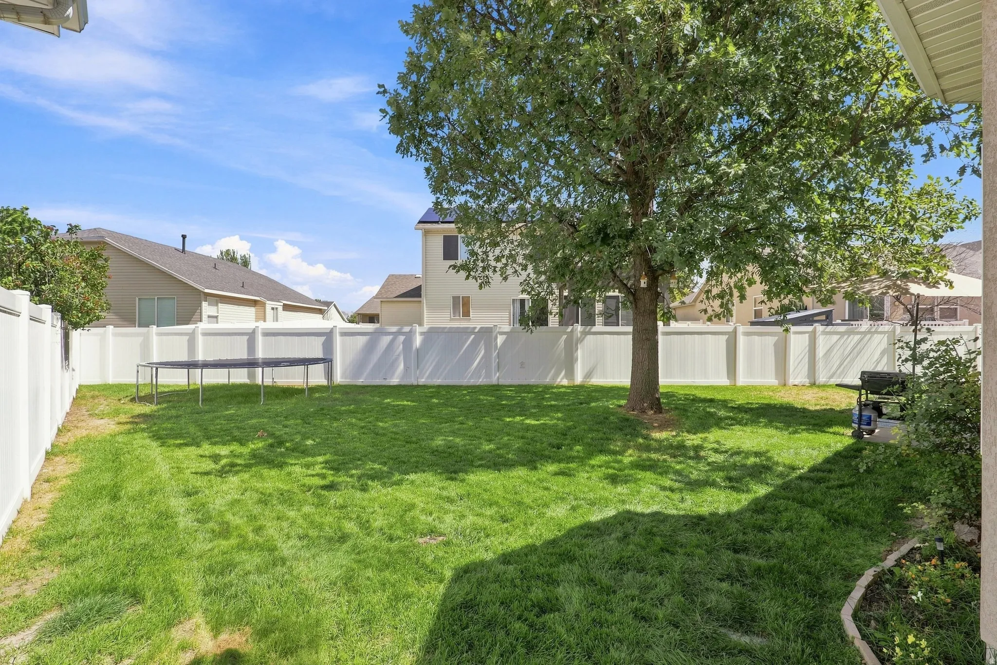 Expansive backyard featuring a large tree, manicured lawn, and perimeter fencing