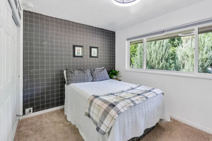 Wall-to-wall carpeting, a large window, a ceiling-mounted light fixture, and a checkered accent wall