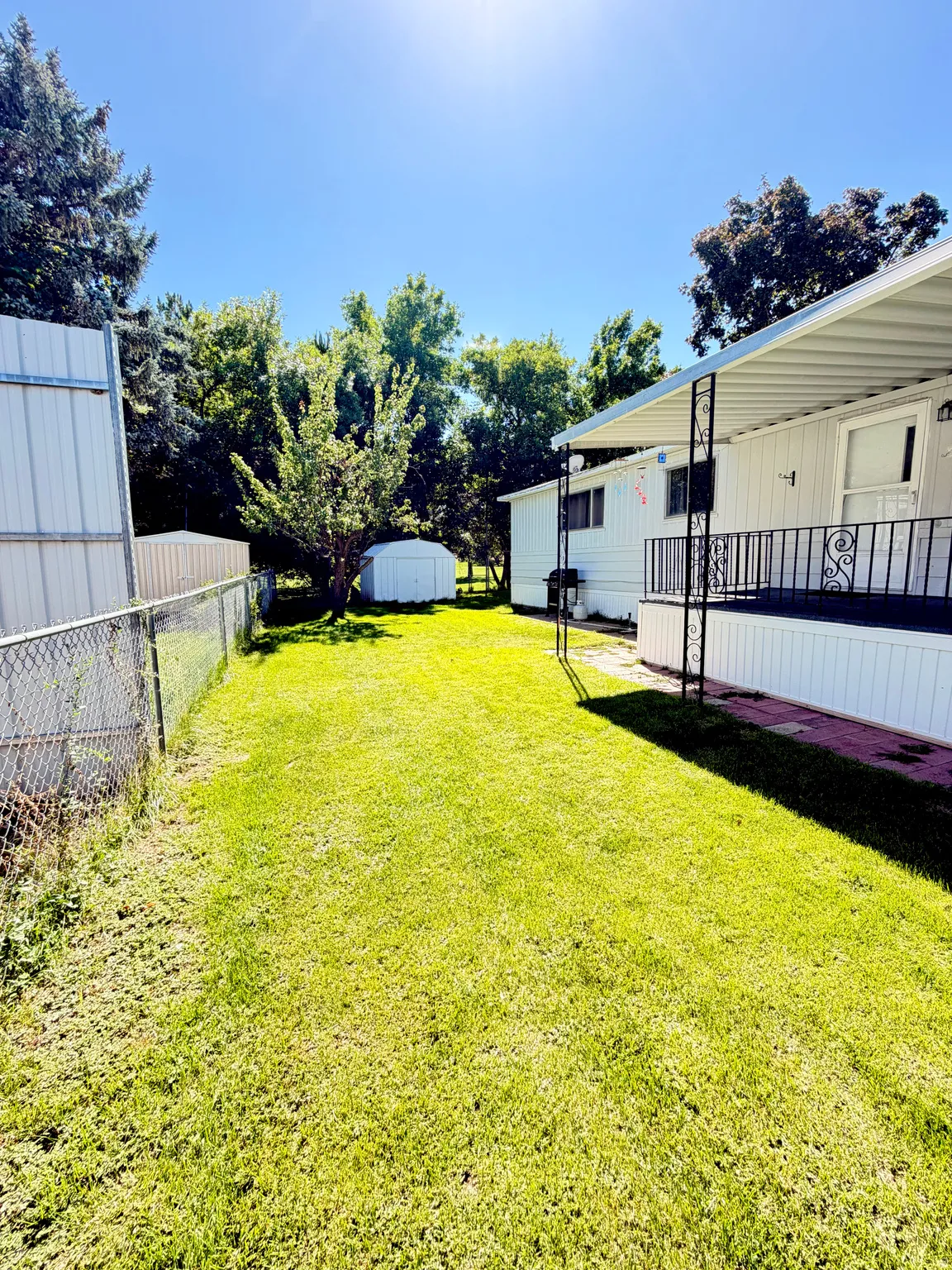Expansive grassy yard with mature trees, a chain-link fence, and a white storage shed