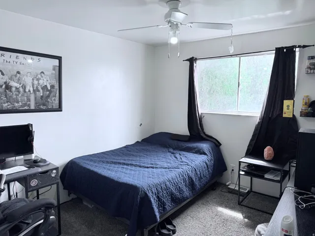 White painted walls, ceiling fan, carpet flooring, and a large window