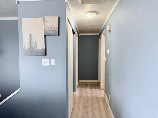 Recessed ceiling light fixture and wood-finish flooring in hallway