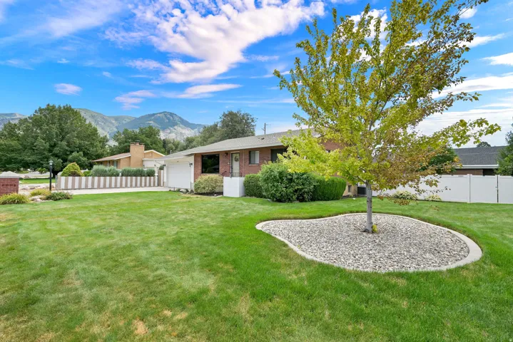 Expansive front lawn with mature trees and a rock-filled tree ring