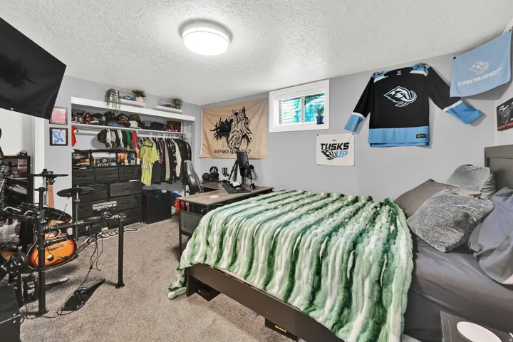 Recessed closet with shelving, overhead flush-mount lighting, and carpeted flooring