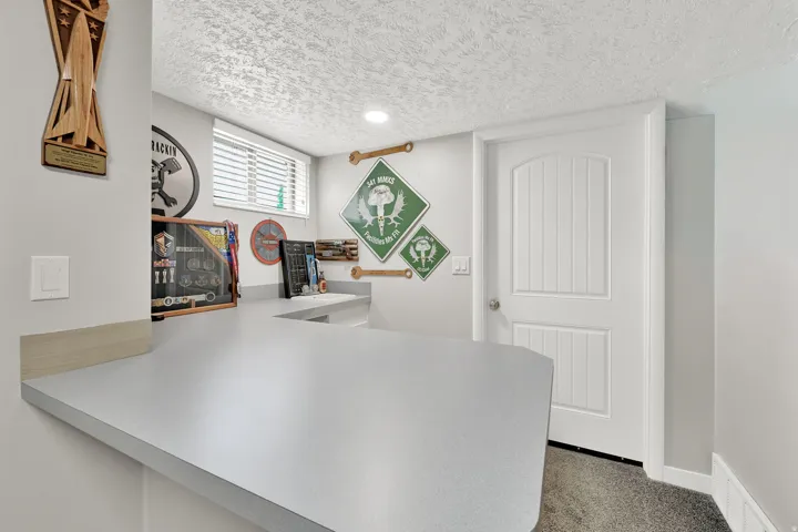 Built-in countertop with recessed sink and white panel-style door