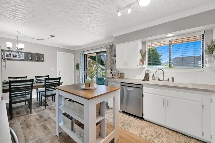 Modern kitchen with white cabinetry, stainless steel dishwasher, and wood-finish flooring