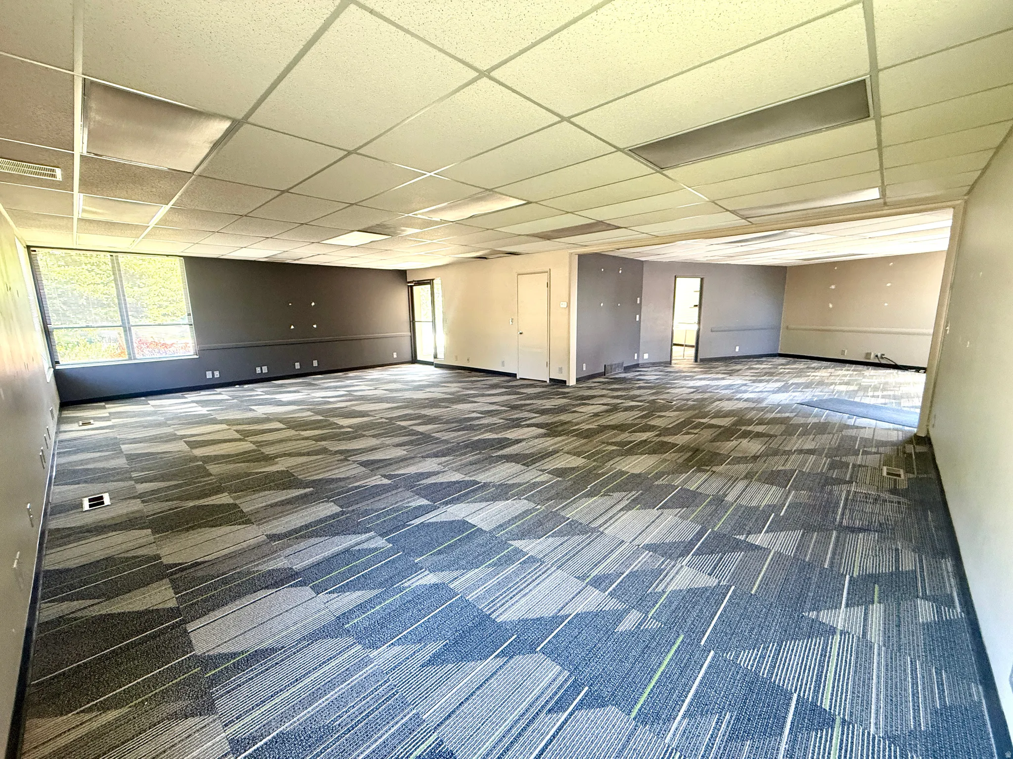 Expansive interior with patterned carpet flooring, drop ceiling with integrated lighting, and multiple windows