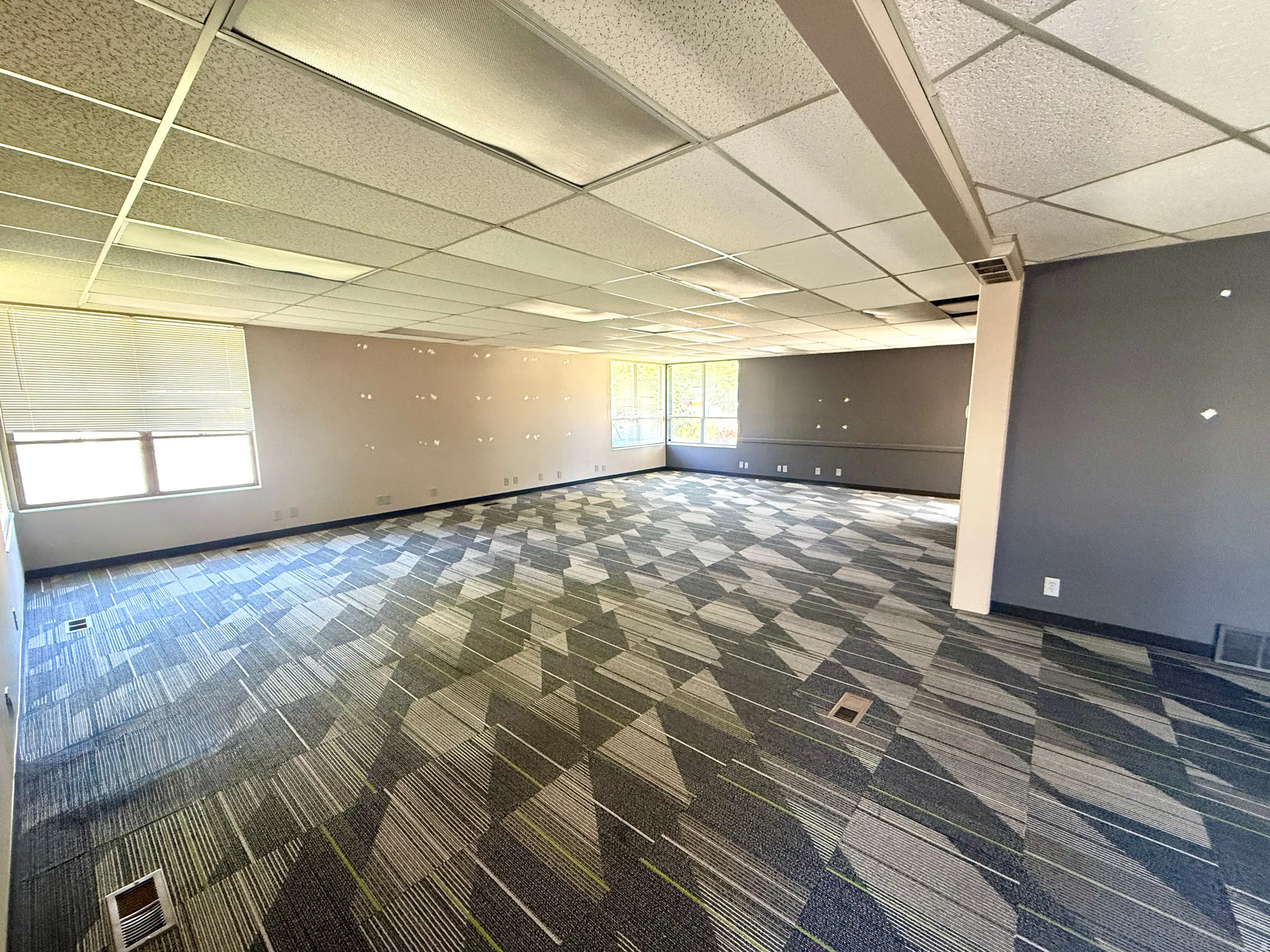 Expansive room featuring patterned carpet flooring, drop ceiling with integrated lighting, multiple windows with blinds, and painted walls