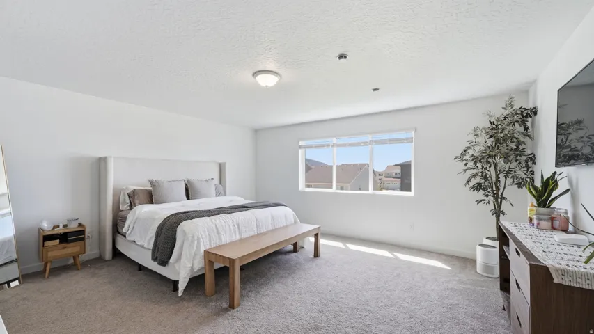 Spacious room with light-colored carpeting, multiple windows providing natural illumination, and a ceiling-mounted light fixture