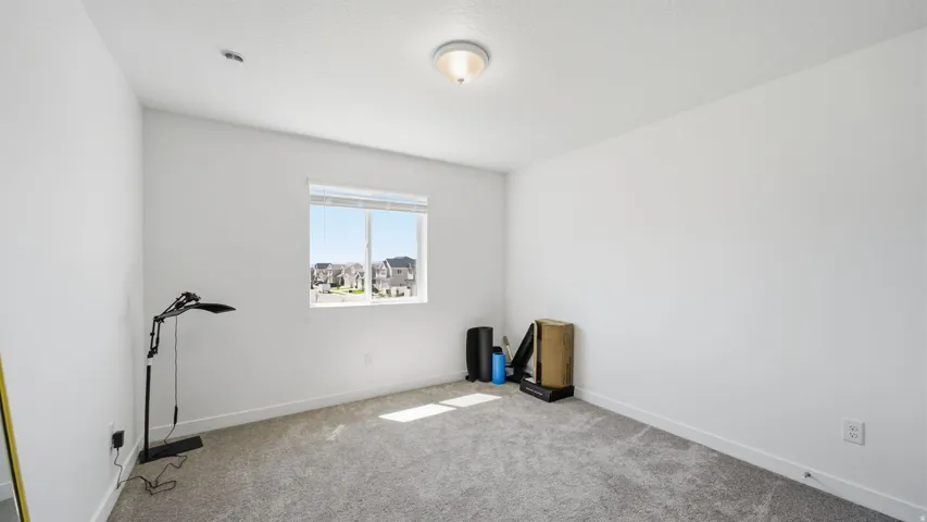Neutral wall paint, carpet flooring, a single window, and a ceiling-mounted light fixture
