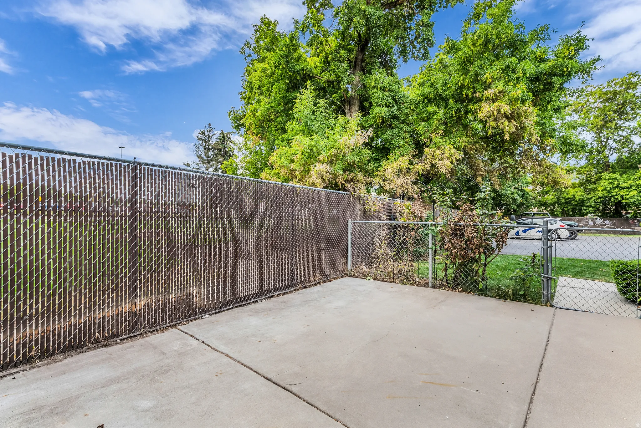 Concrete patio with a chain link fence, privacy slats, and mature trees