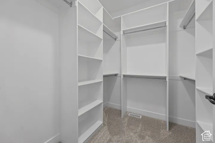 Built-in closet system featuring white shelving and chrome hanging rods over carpeted flooring