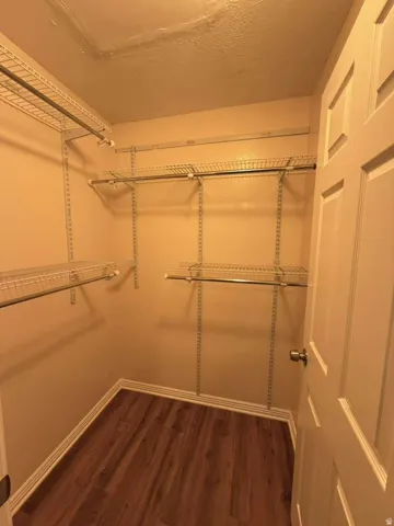 Walk-in closet featuring wood-finish flooring, adjustable wire shelving, and a paneled door