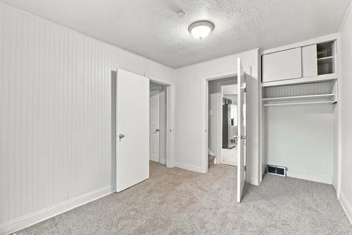 Wall paneling, plush carpet flooring, built-in closet storage, flush mount ceiling light