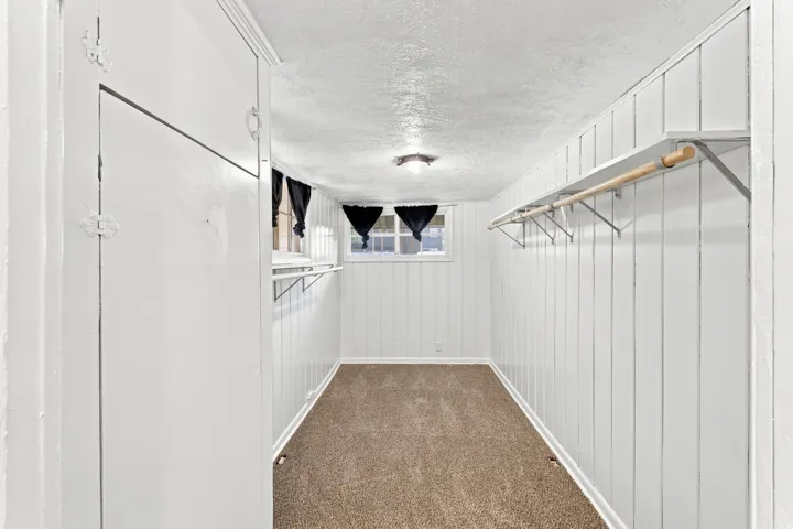 Carpeted flooring, white paneled walls, ceiling-mounted light fixture, built-in storage cabinets, and a clothes hanging rod with shelving