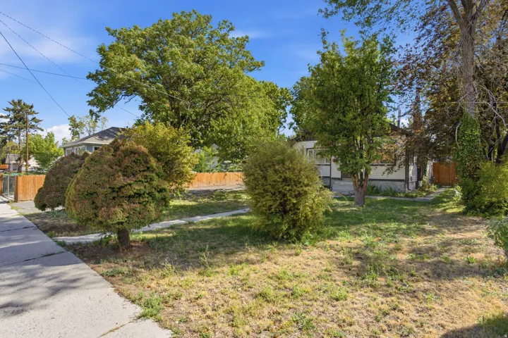 Front yard with mature trees, established shrubbery, and concrete pathway