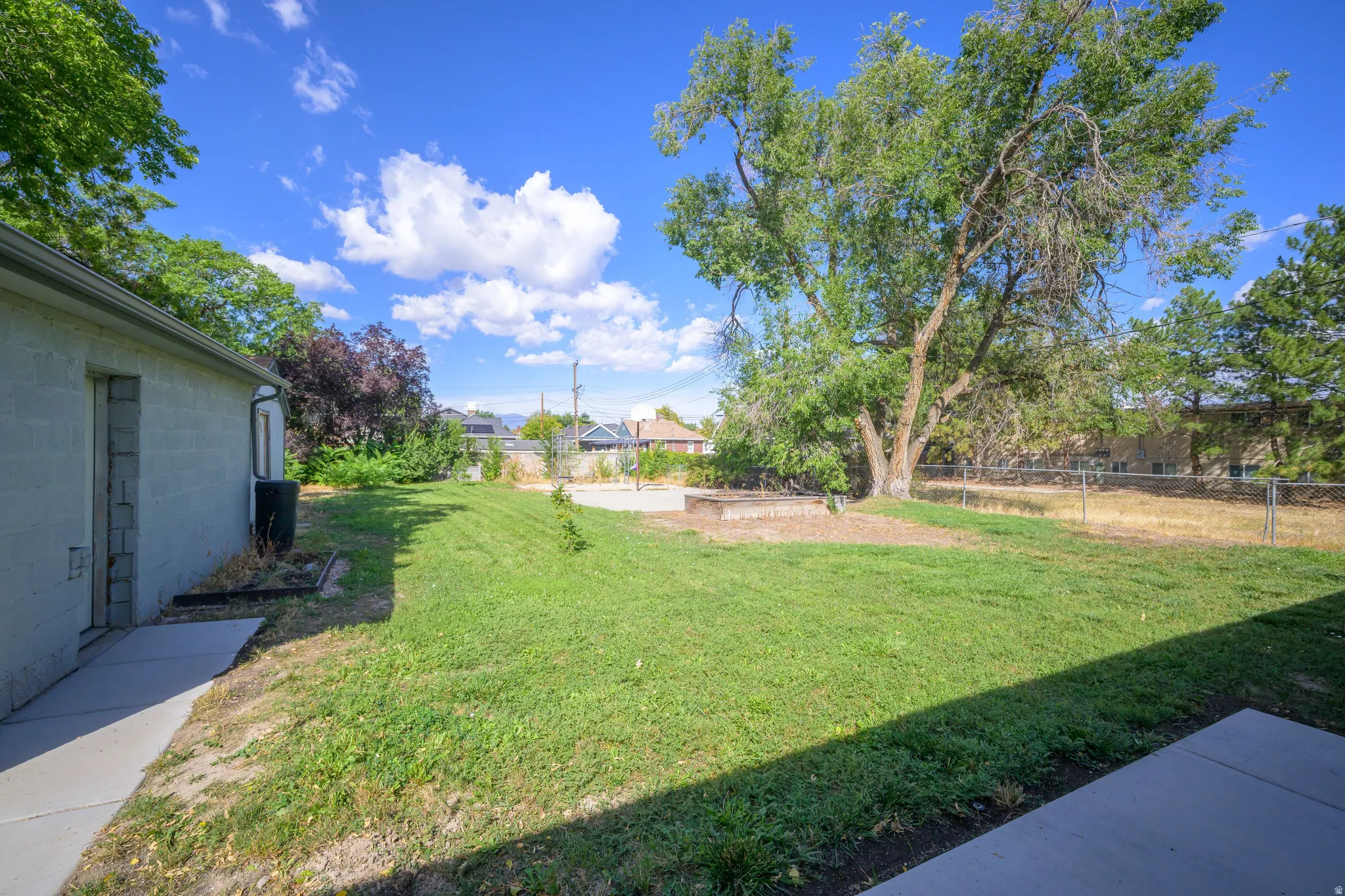 Expansive backyard featuring a mature tree, a raised garden bed, and a chain-link fence