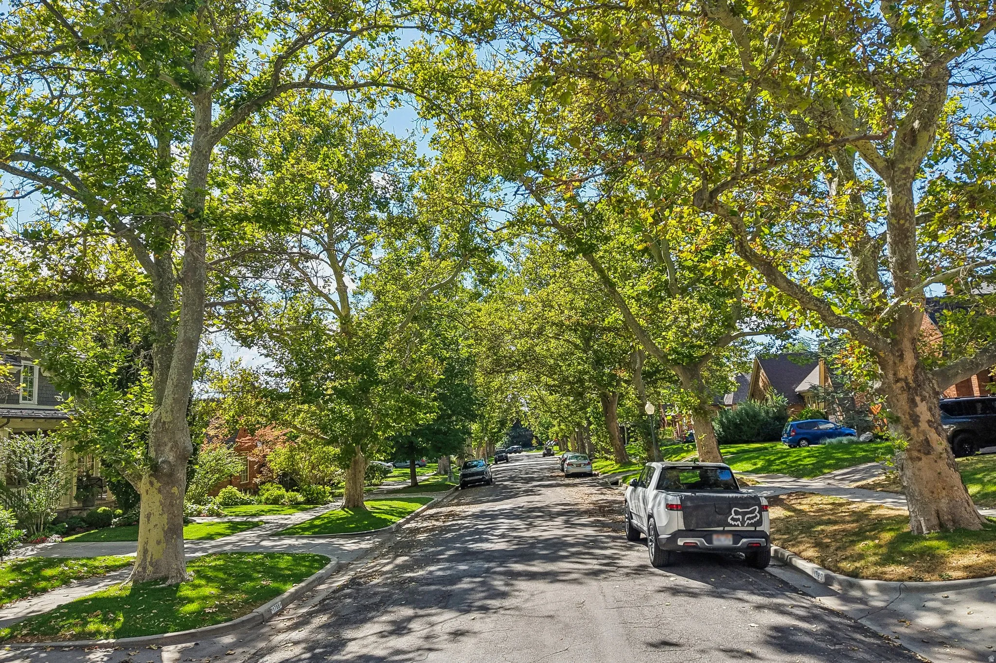 Tree-lined street with established trees and manicured lawns
