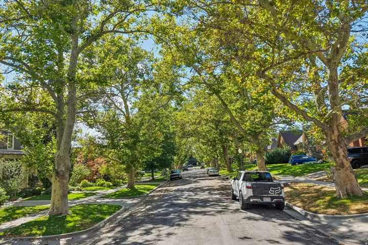 Tree-lined street with established trees and manicured lawns