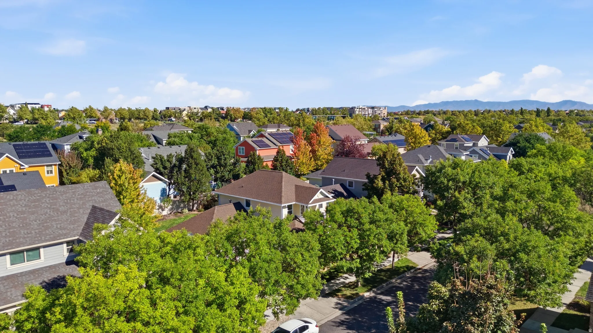 Residential neighborhood with mature trees and mountain scenery
