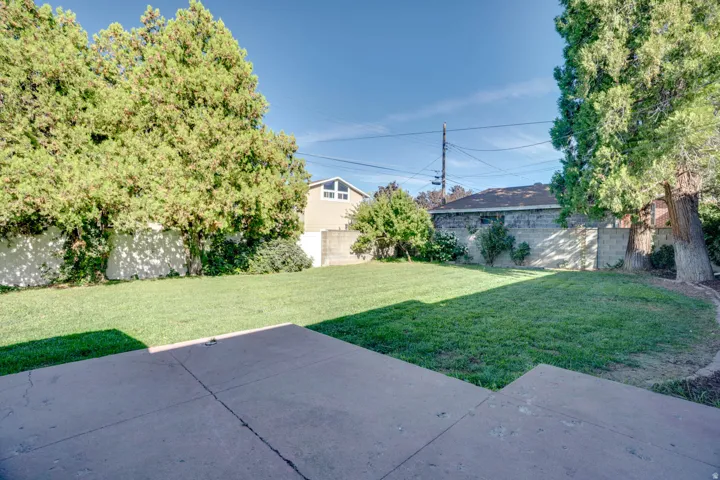 Expansive lawn with mature privacy trees and a concrete patio