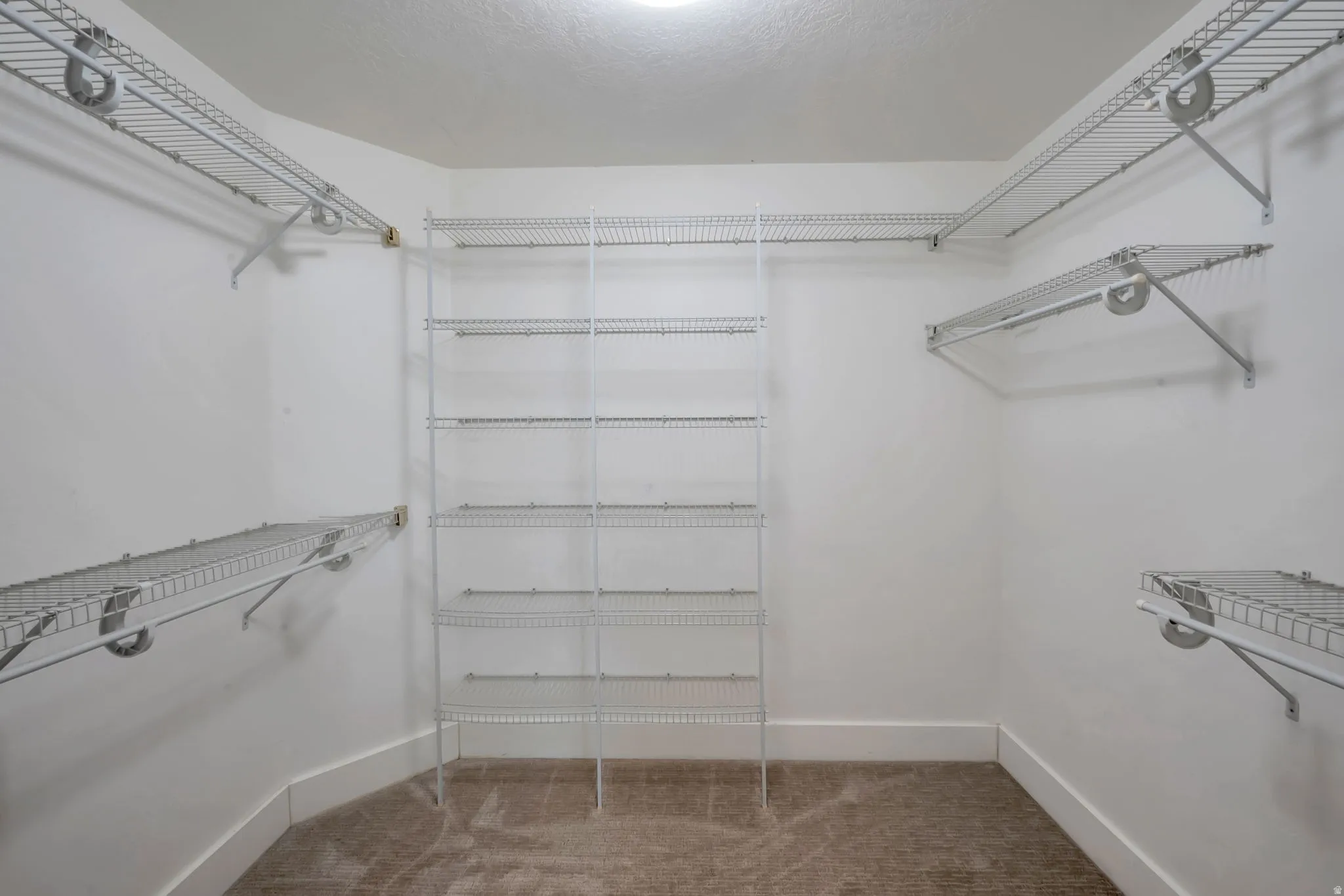 Primary bedroom walk-in closet featuring wire shelving, wire hanging rods, and neutral carpeting