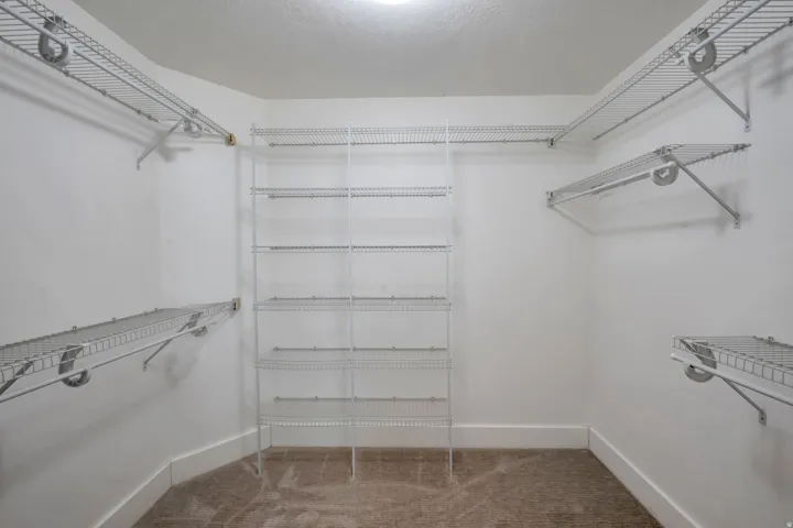 Primary bedroom walk-in closet featuring wire shelving, wire hanging rods, and neutral carpeting