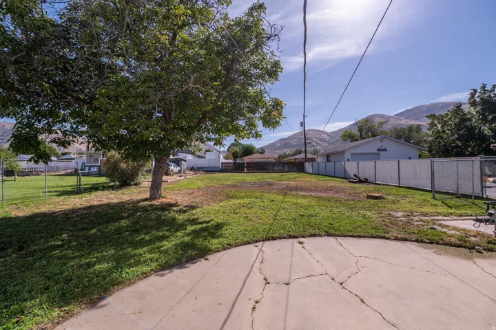 Expansive grassy yard area featuring a mature tree, concrete patio, and mountain backdrop
