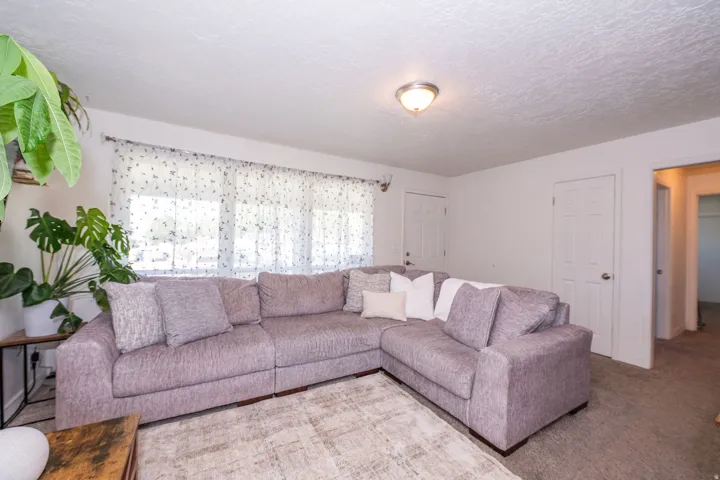Recessed lighting, light-colored walls, ceiling-mounted light fixture, and neutral-toned carpeting