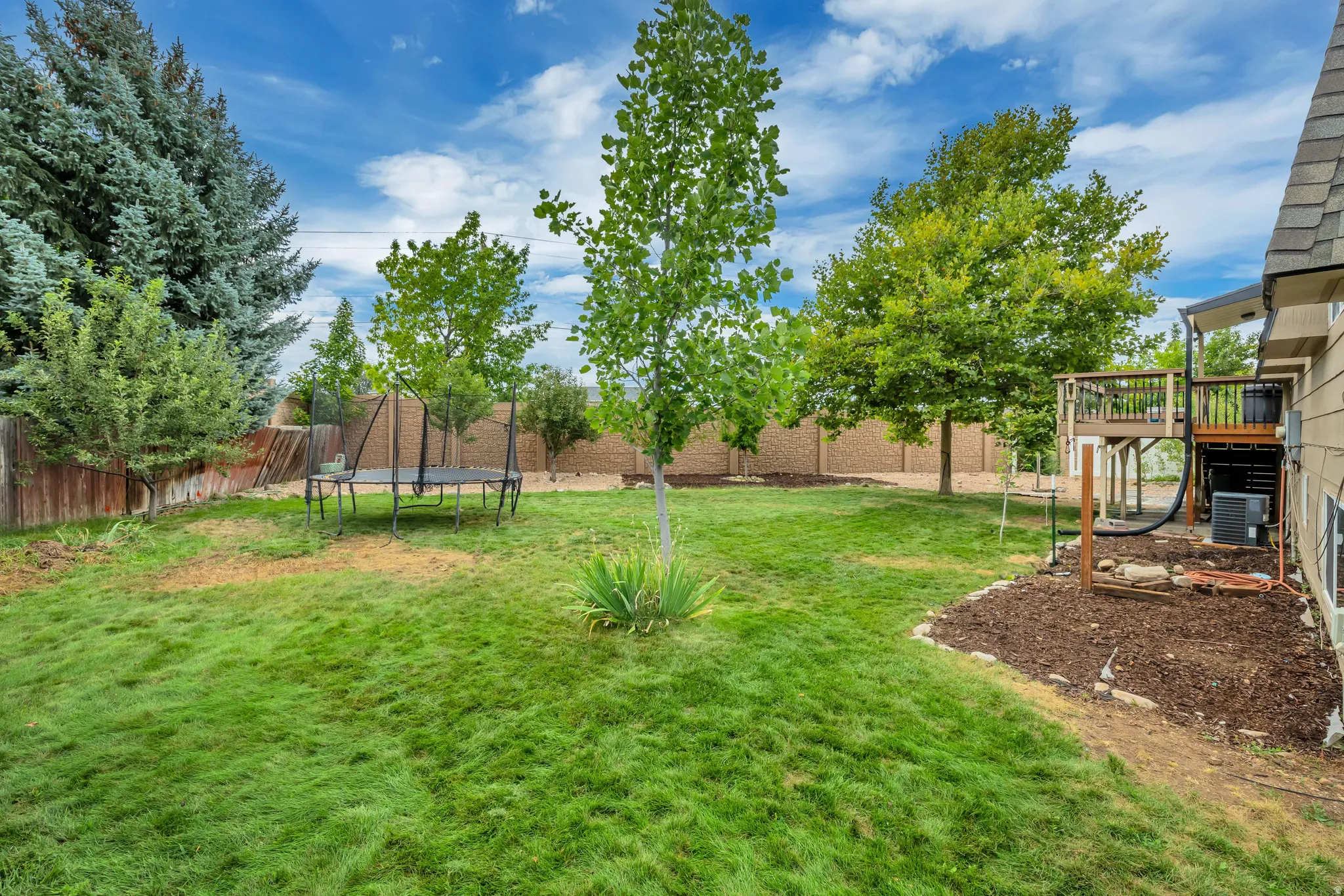 Expansive grass yard with mature fruit  trees, a multi-level wooden deck.